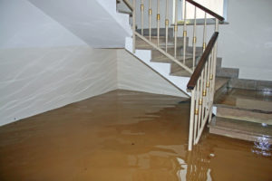 Miami Water Damage Restoration Company